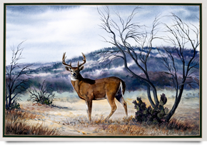 Elusive Trophy